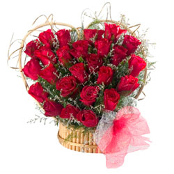 25 Heart Shape Red Rose Bunch..!!